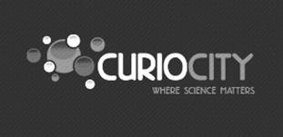 IES Group Client Logo